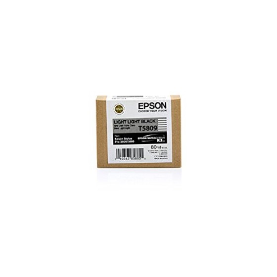 Epson T5809 light light Bk